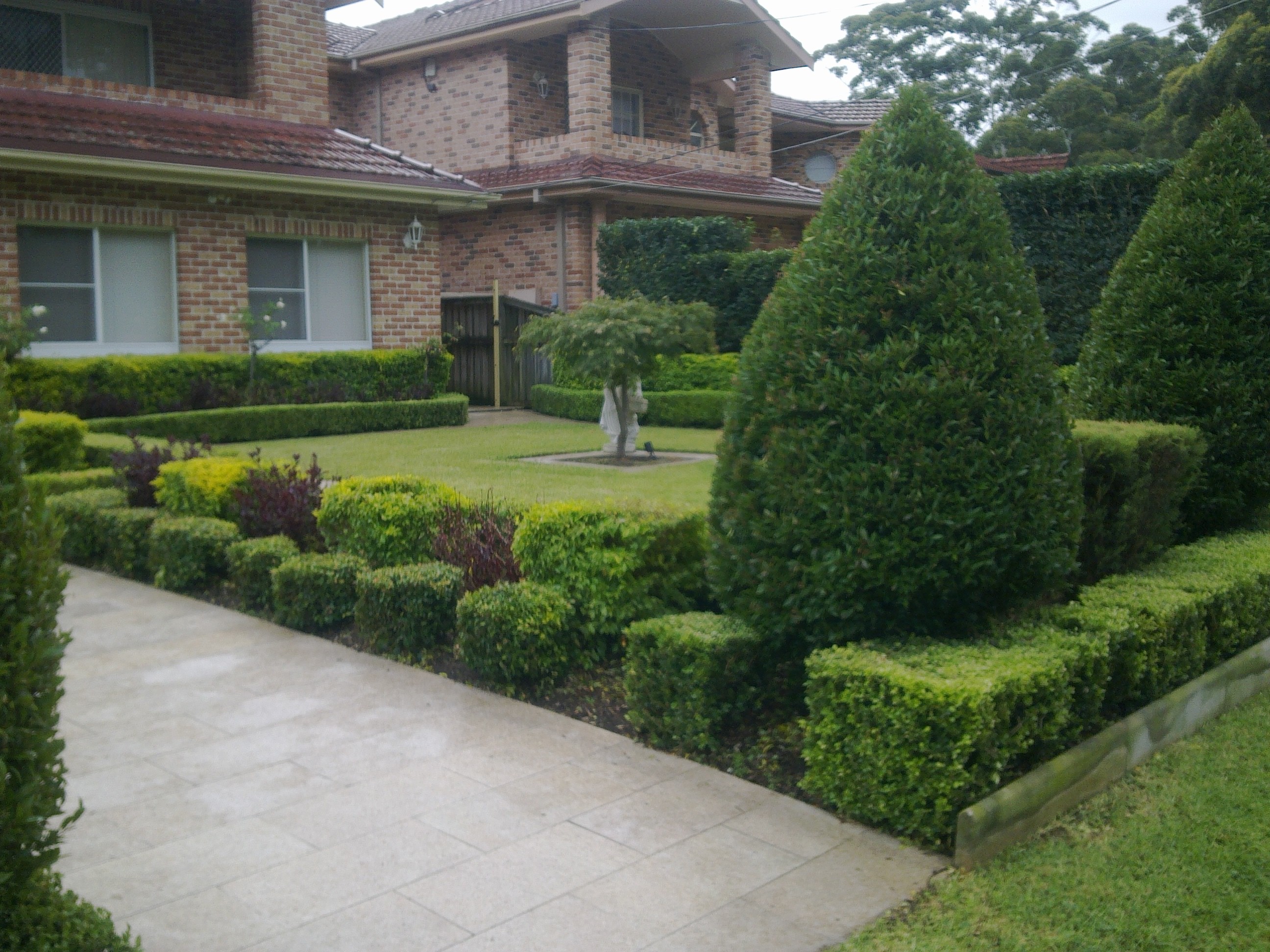 Lindfield Gardening Hedging Northshore Lawns Property